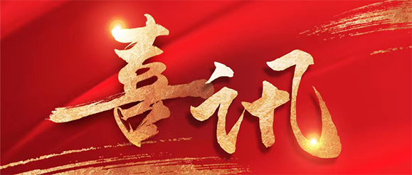 必威(bw·西汉姆联)公司总裁张进当选第十四届全国人大代表！！